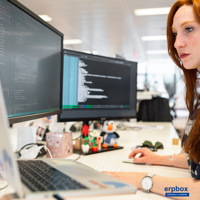 Escenario: Formulario de Entrada Rápida